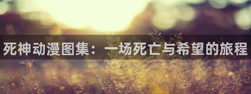 age动漫专注动漫的门户网站