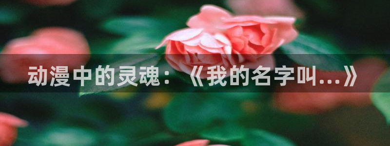 managereader漫画官网入口