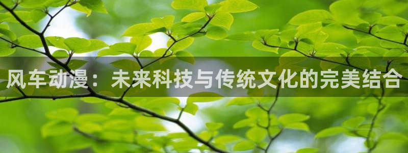 age动漫樱花