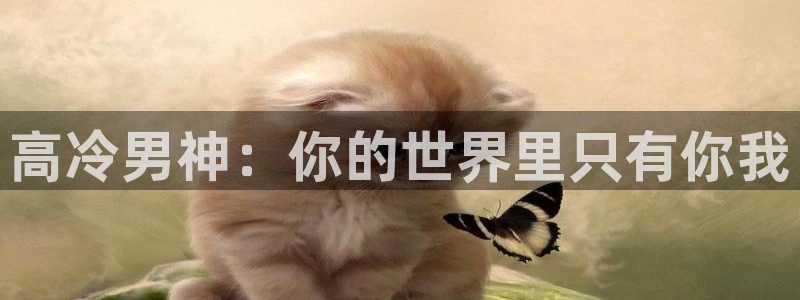age动漫官网入口老版本