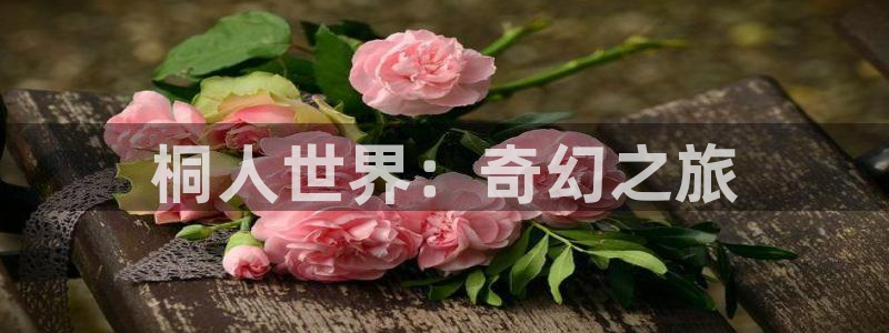 在线动画动漫下载age动漫