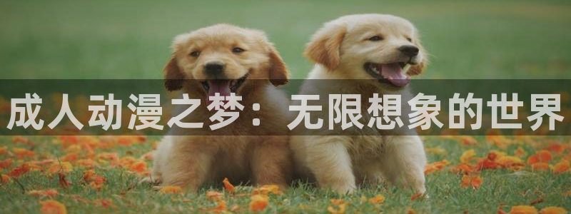 age动漫下载入口