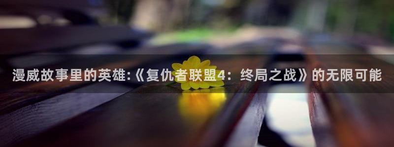 managereader漫画官网入口：漫威故事里的英雄:《复仇者联盟4：终局之战》的无限可能