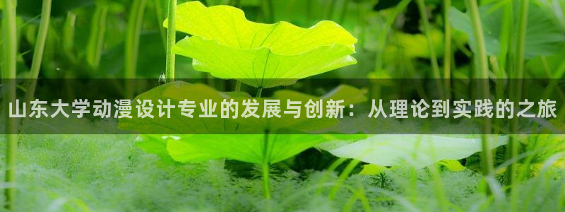 managereader漫画官网入口：山东大学动漫设计专业的发展与创新：从理论到实践的之旅