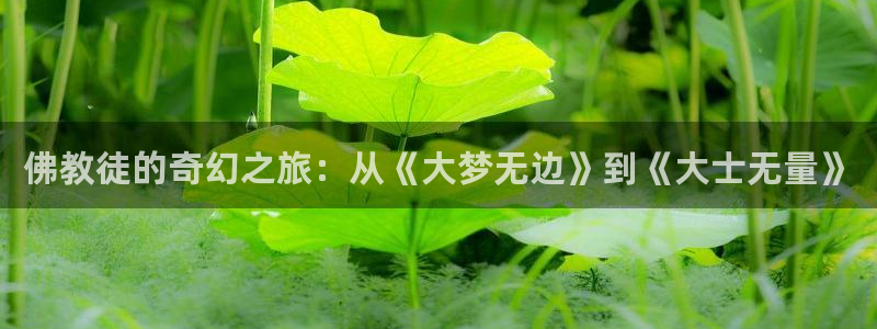 age专注动漫的门户网站：佛教徒的奇幻之旅：从《大梦无边》到《大士无量》