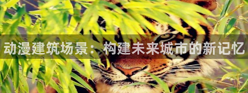 下载age动漫