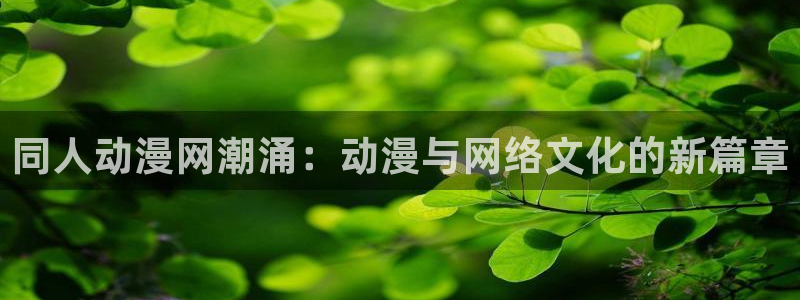 拷贝漫画 copymanager.ory网站