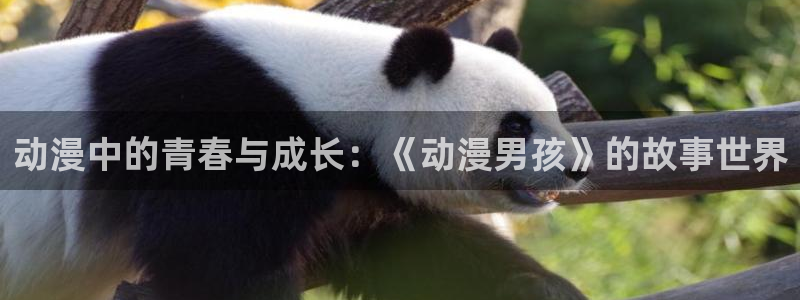 age动漫下载入口