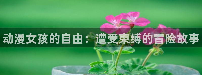 age动漫专注动漫的门户网站