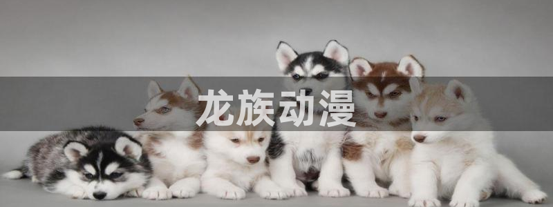 age动漫下载