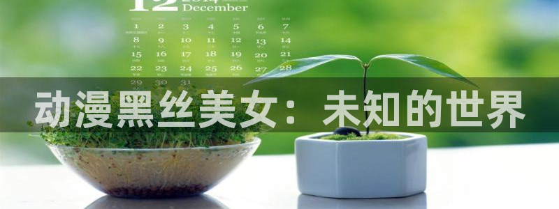 age动漫网官网入口
