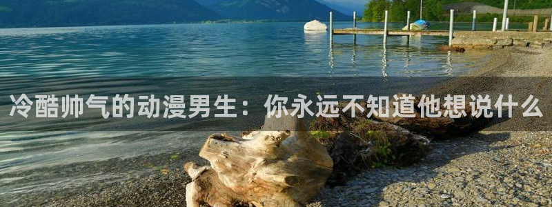 age动漫下载网
