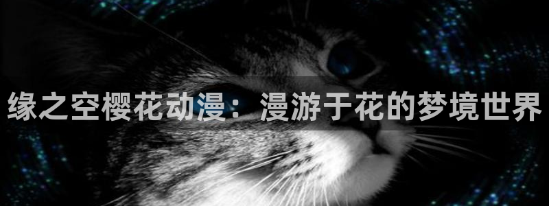 age动漫官网在线入口