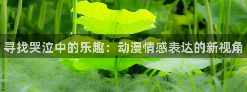 age动漫正版网