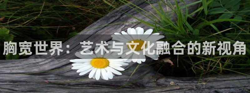 age动漫官网在线入口
