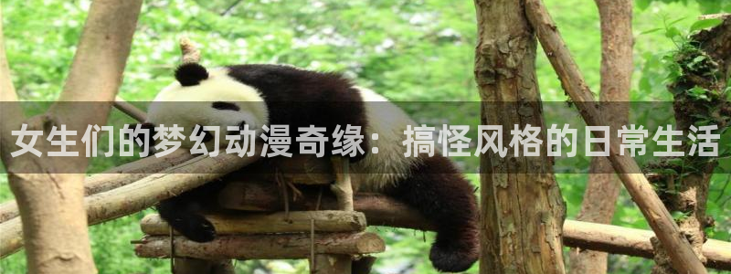 age动漫下载动漫全免费