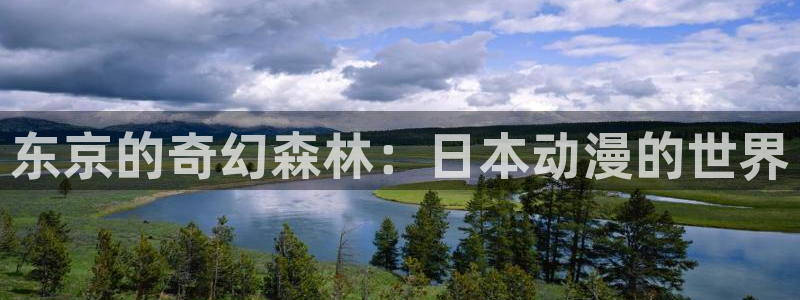 age动漫网下载