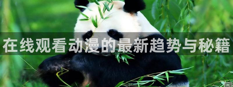 age动漫网