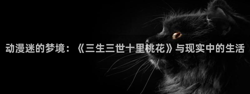 age动漫