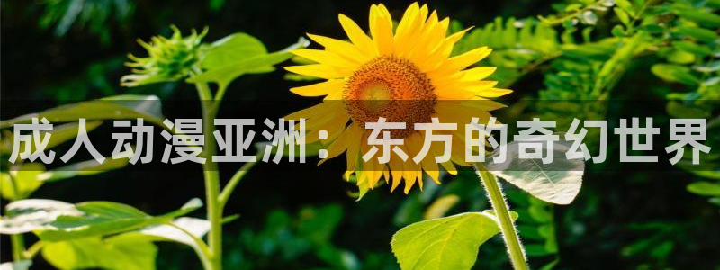 age动漫官网入口老版本