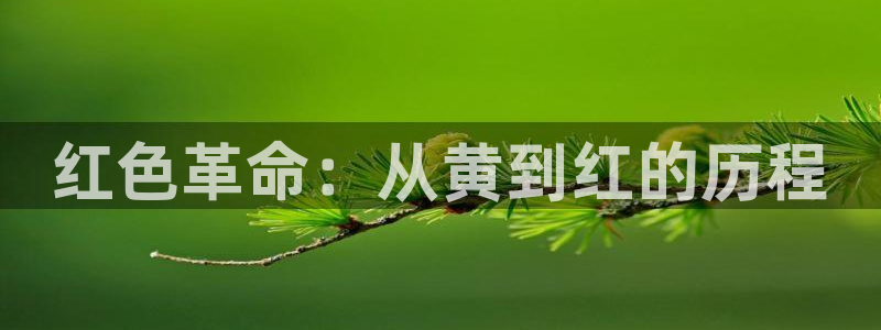 age动漫官网在线入口