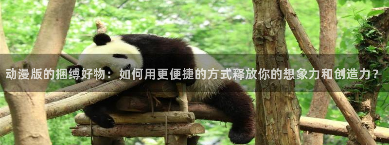 拷贝漫画 copymanager.ory网站