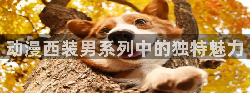 在线动画动漫下载age动漫