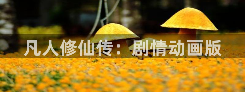 age动漫下载入口