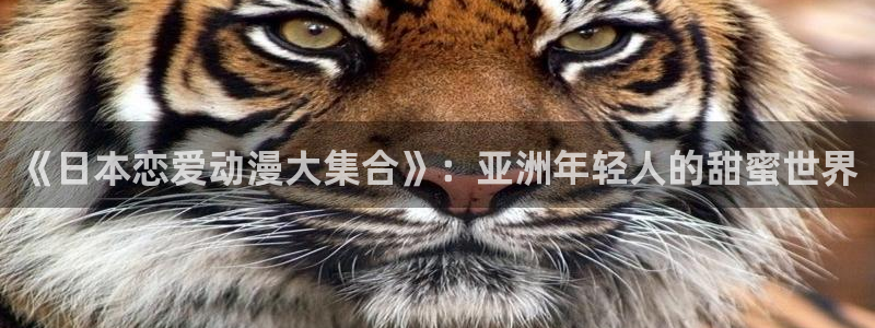 managereader漫画官网入口