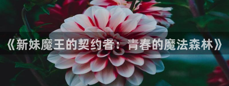 age动漫官网在线入口