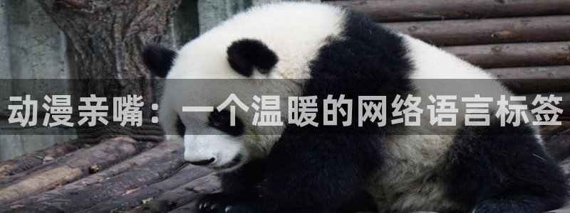 age动漫正版网