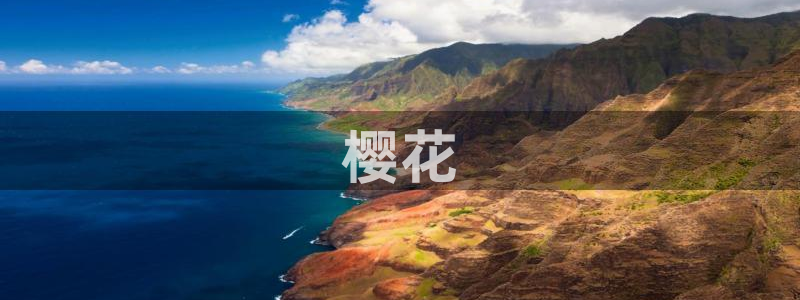 age动漫网上看