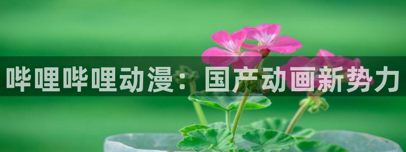 拷贝漫画 copymanager.ory网站