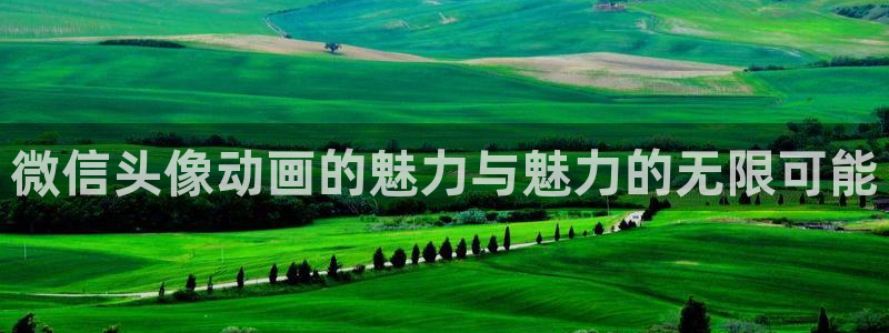 age动漫网下载：微信头像动画的魅力与魅力的无限可能