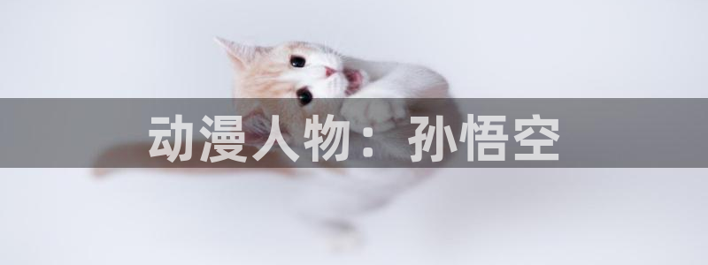 age动漫下载：动漫人物：孙悟空